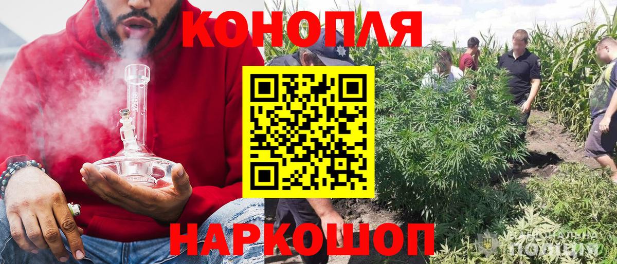 МАРИХУАНА семена  Каннабис Bruce Banner  Канабис SATIVA & INDICA  Жигулёвск 